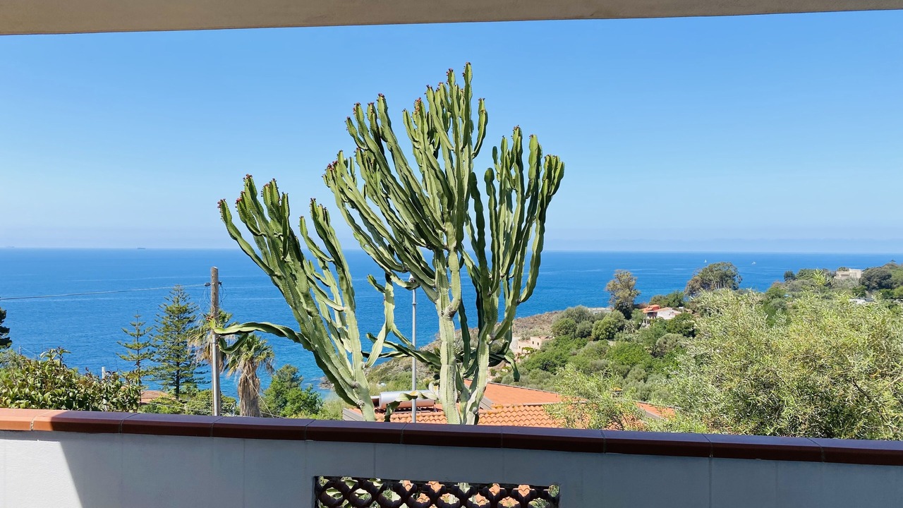 Photo of Outdoor in Coccorino