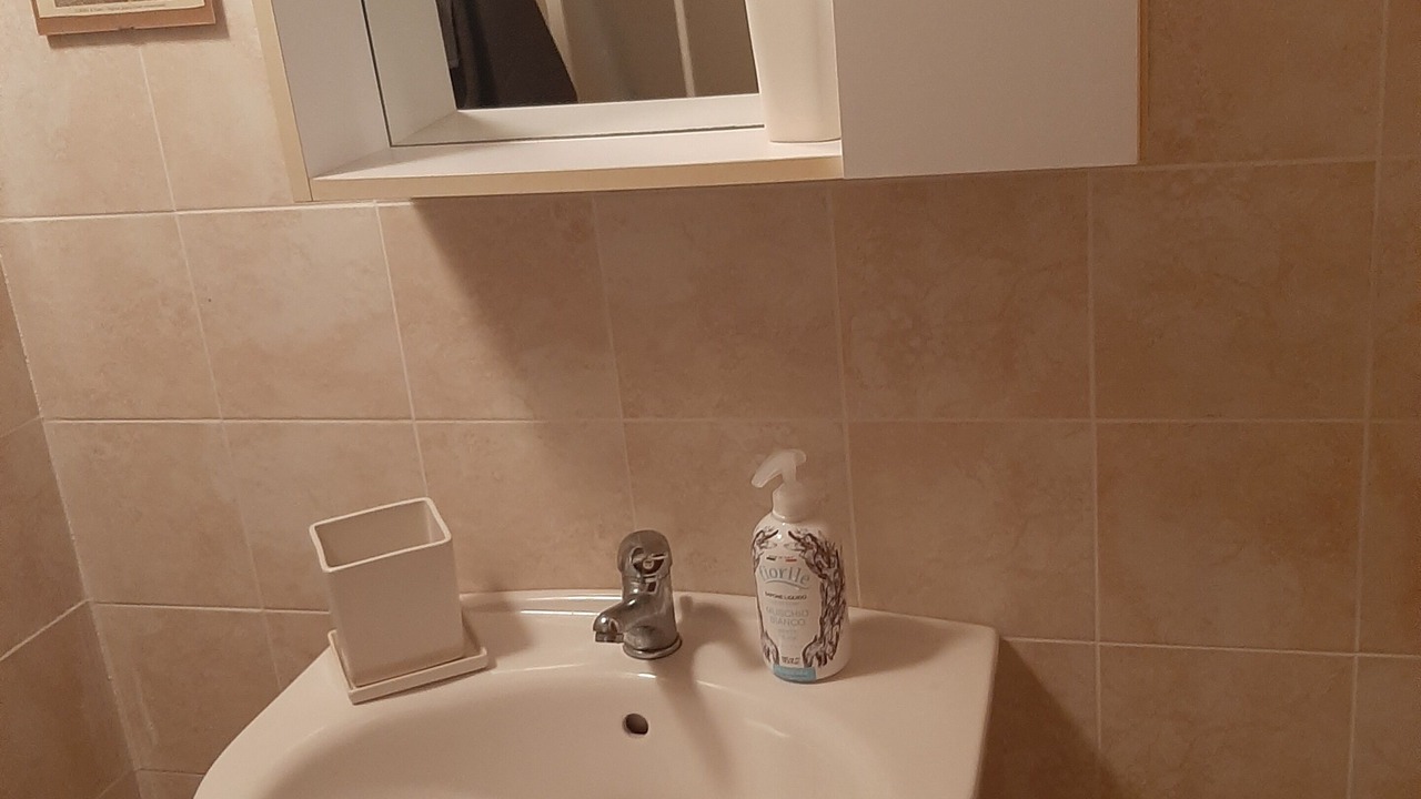 Photo of Bathroom in Bova