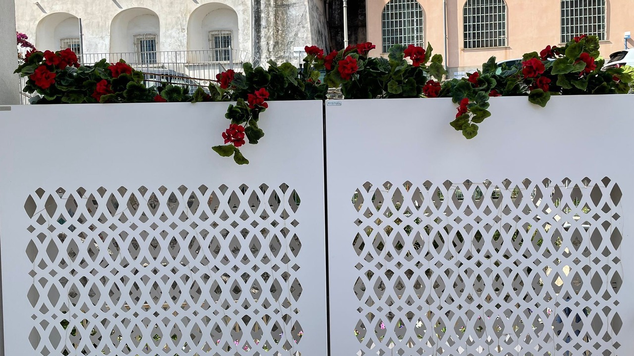 Photo of Outdoor in Historical Downtown Salerno