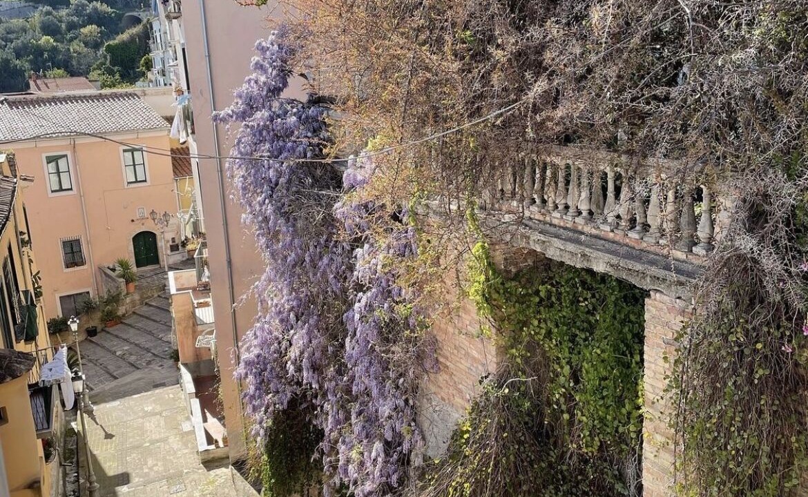 Photo of Outdoor in Historical Downtown Salerno