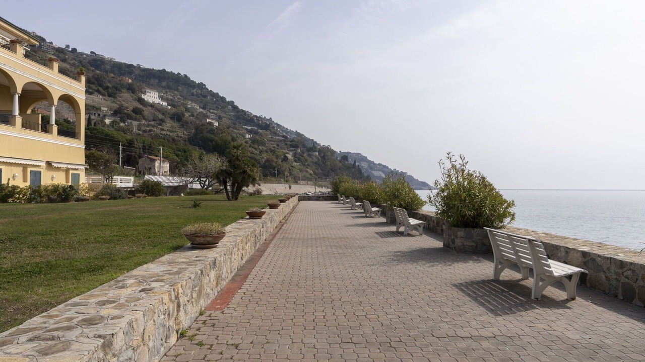 Photo of Outdoor in Latte