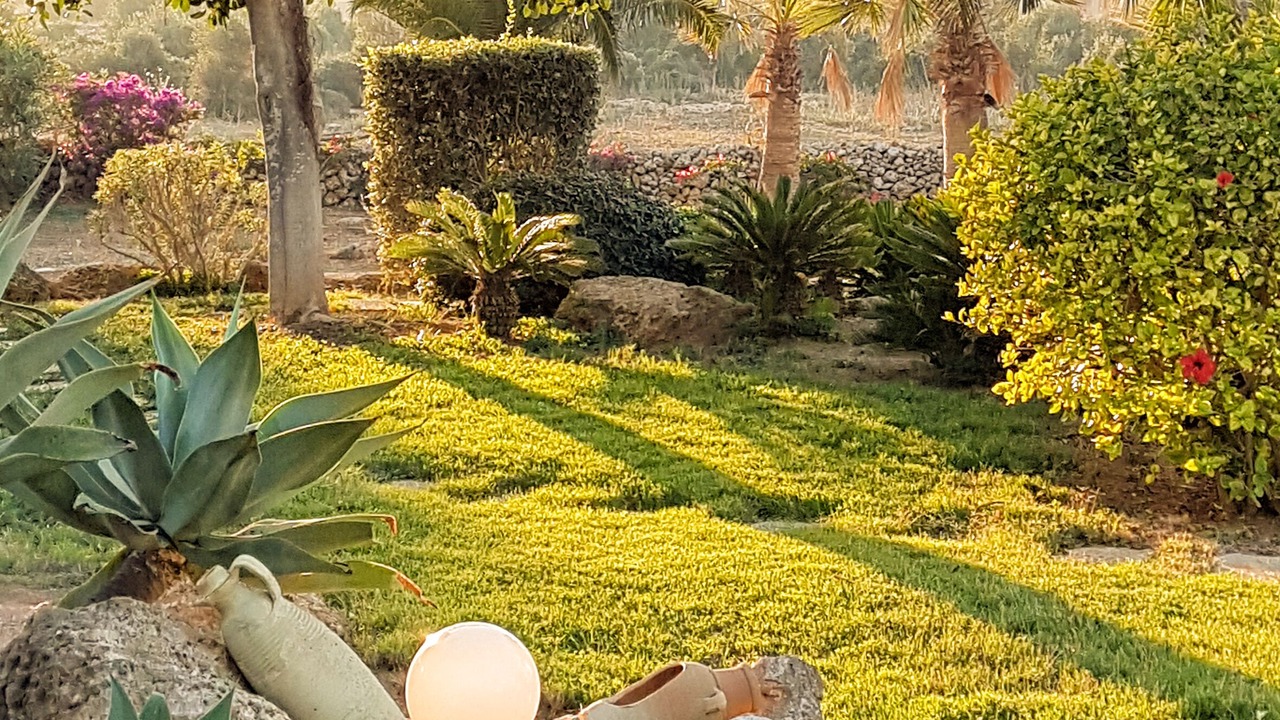 Photo of Outdoor in Favignana