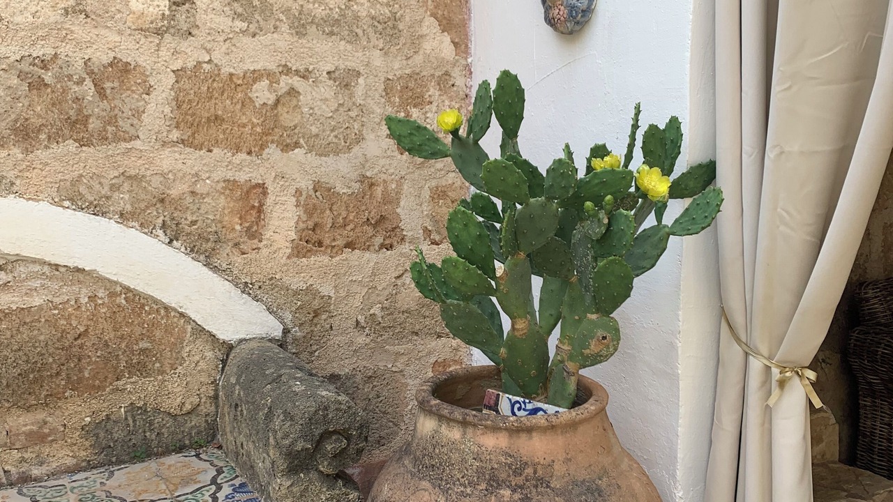 Photo of Outdoor in Macari