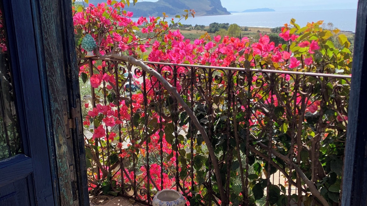 Photo of Outdoor in Macari