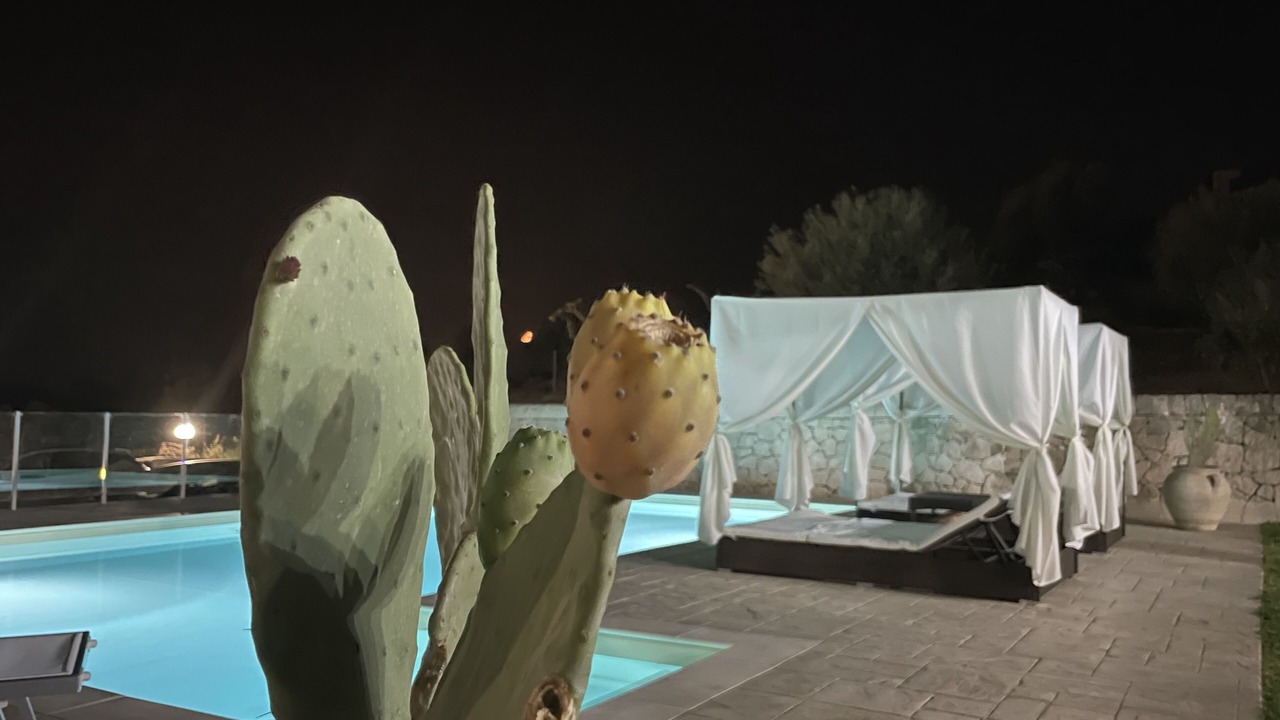 Photo of Outdoor in Avola