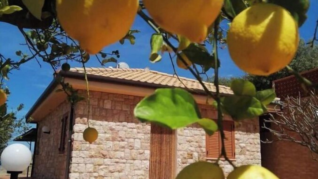 Photo of Outdoor in Cefalu