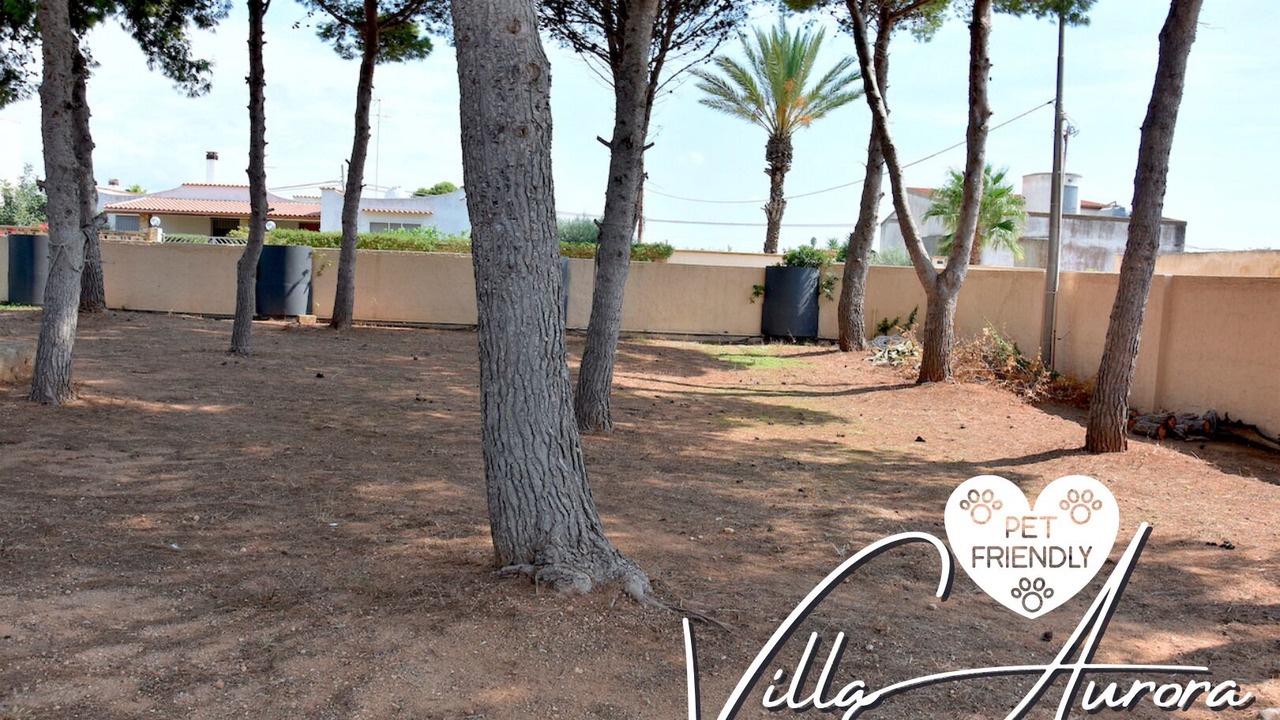 Photo of Outdoor in Marsala