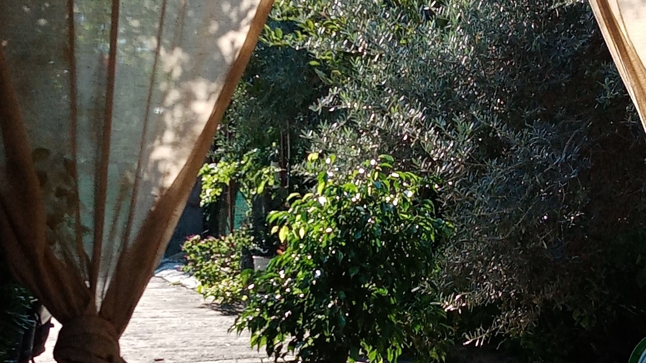 Photo of Outdoor in Mandra Capreria