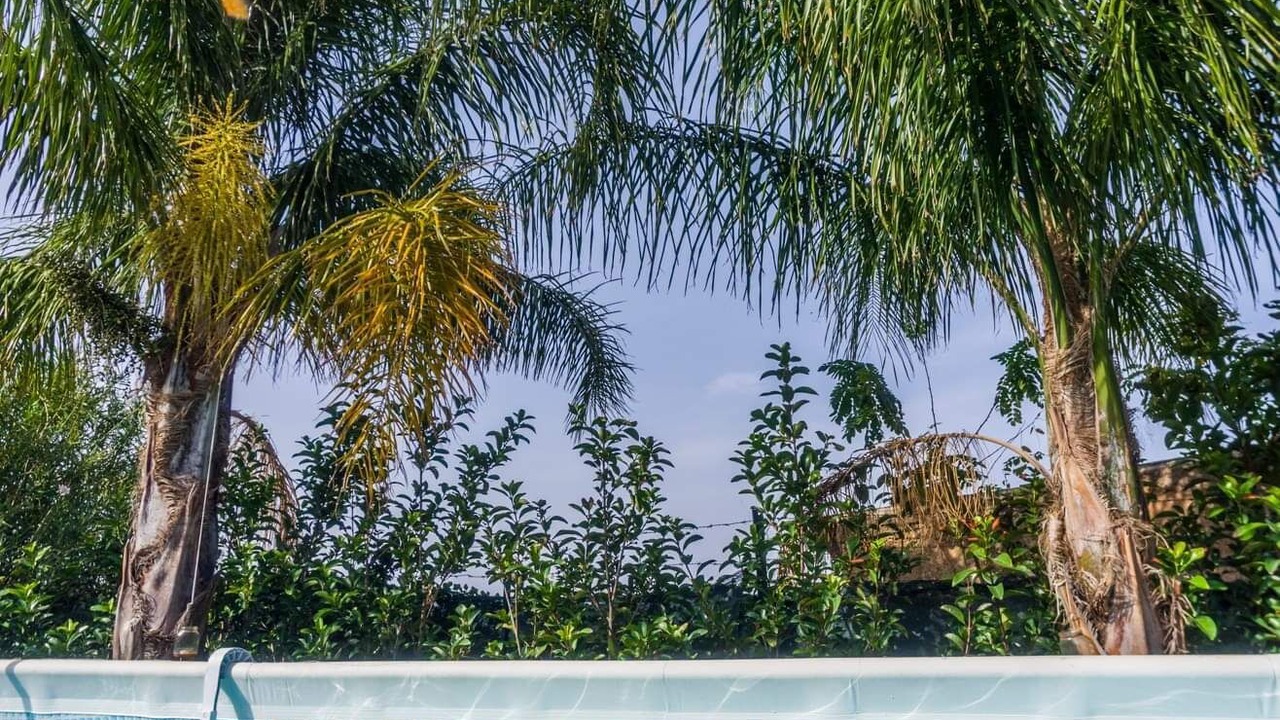 Photo of Outdoor in Mandra Capreria