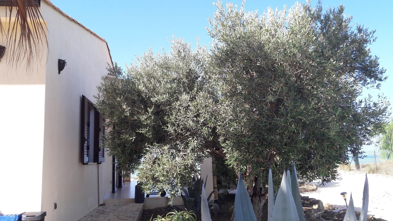 Photo of Outdoor in Montallegro