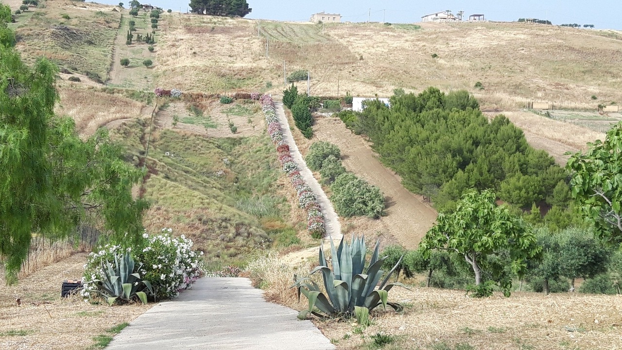 Photo of Outdoor in Montallegro