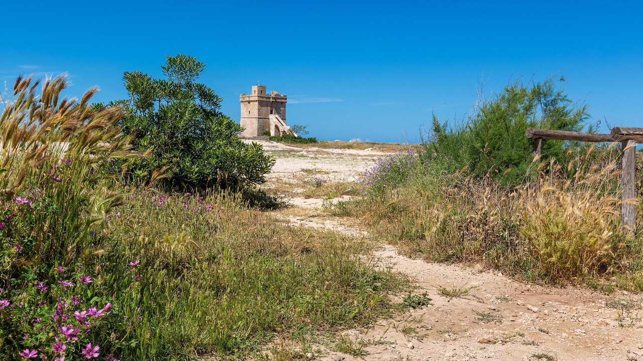 Photo of Outdoor in Torre Squillace