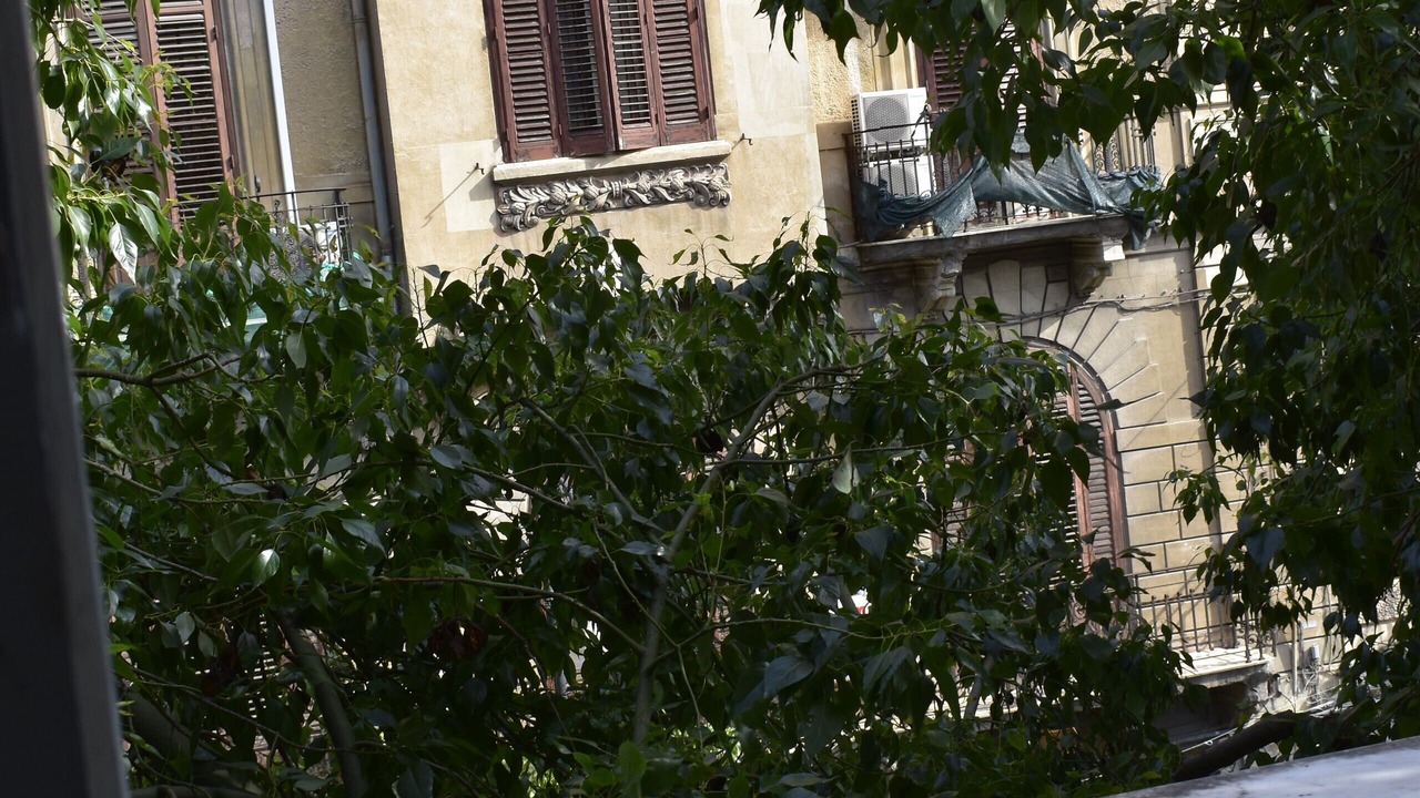 Photo of Outdoor in Centro Storico
