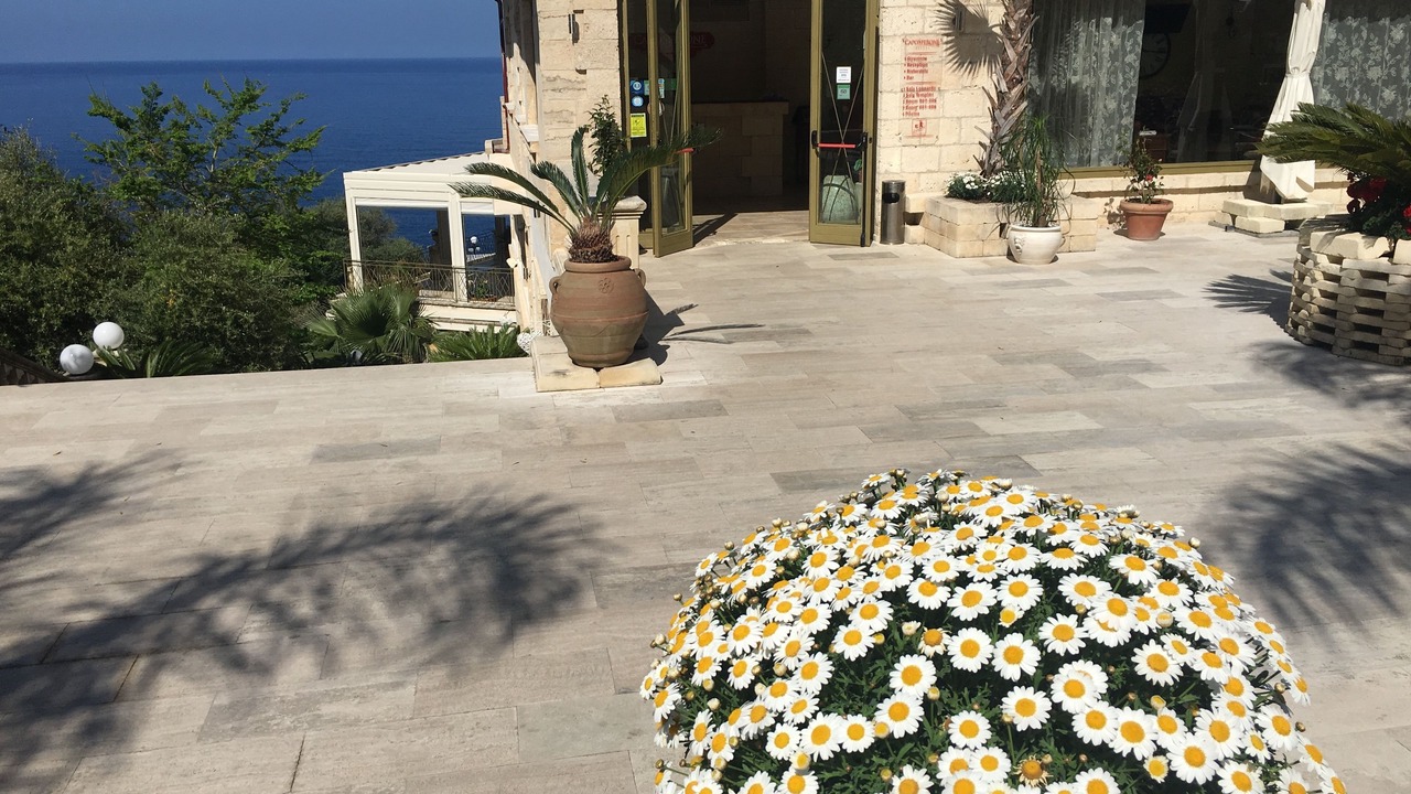 Photo of Outdoor in Taureana