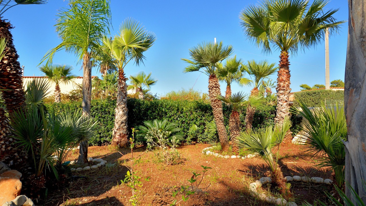 Photo of Outdoor in San Vito Lo Capo