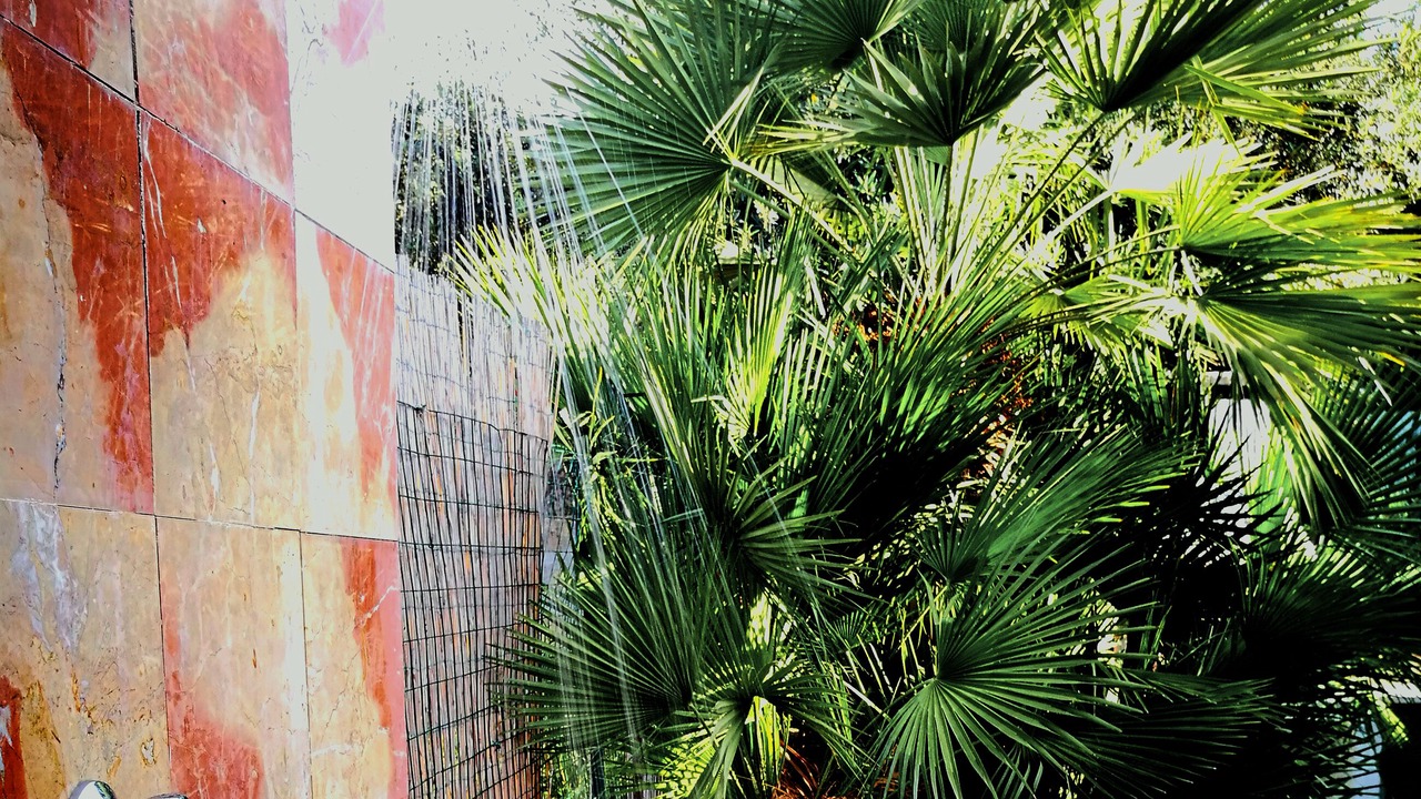 Photo of Outdoor in Valderice