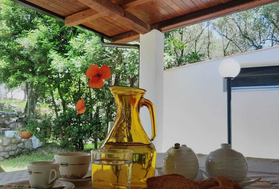 Photo of Outdoor in Coccorino