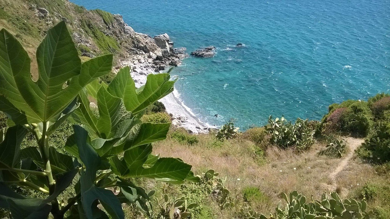 Photo of Others in Coccorino