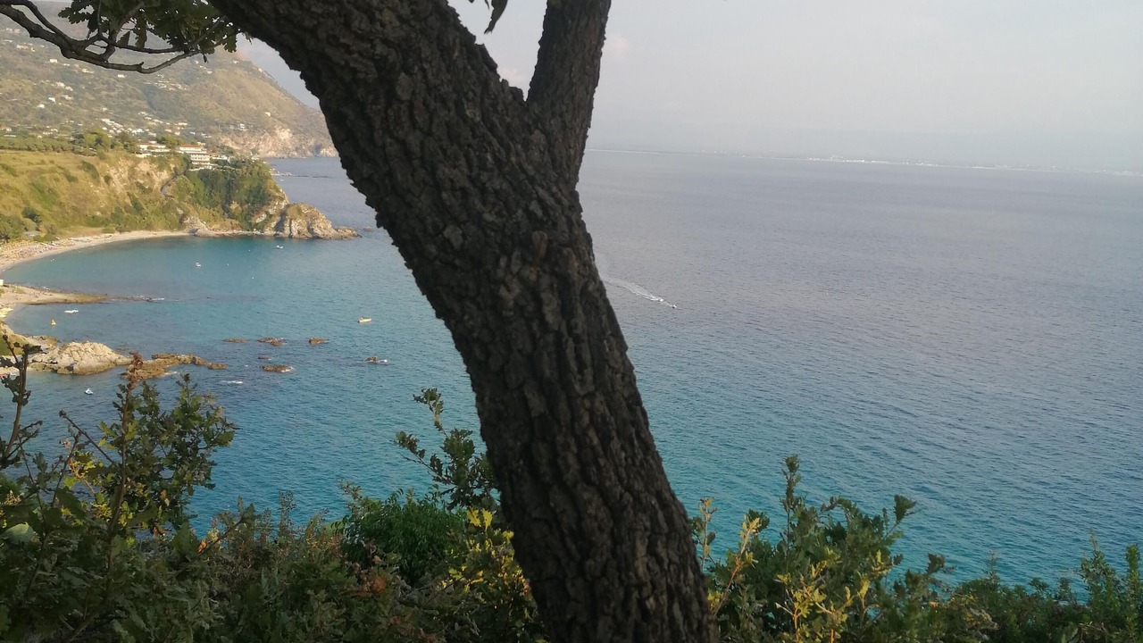 Photo of Others in Ricadi
