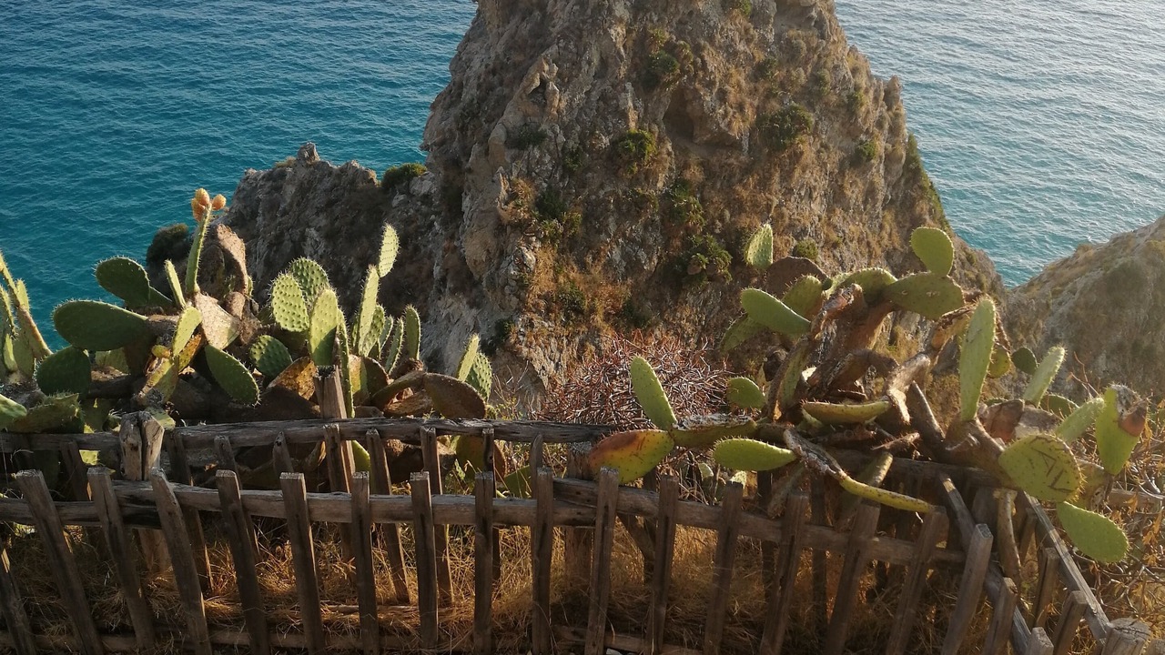 Photo of Outdoor in Ricadi