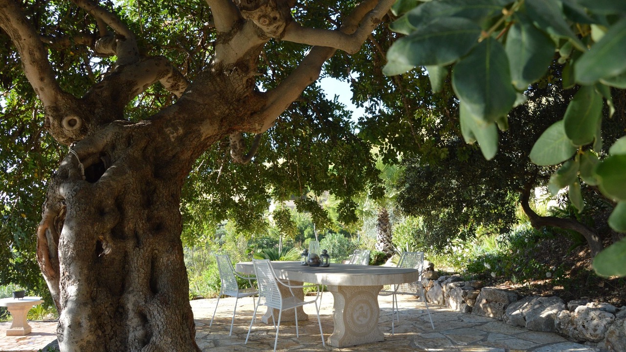 Photo of Outdoor in Scopello