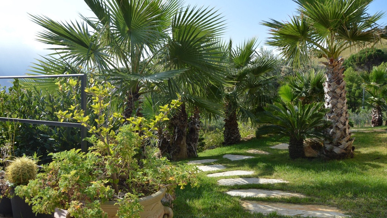 Photo of Outdoor in Scopello