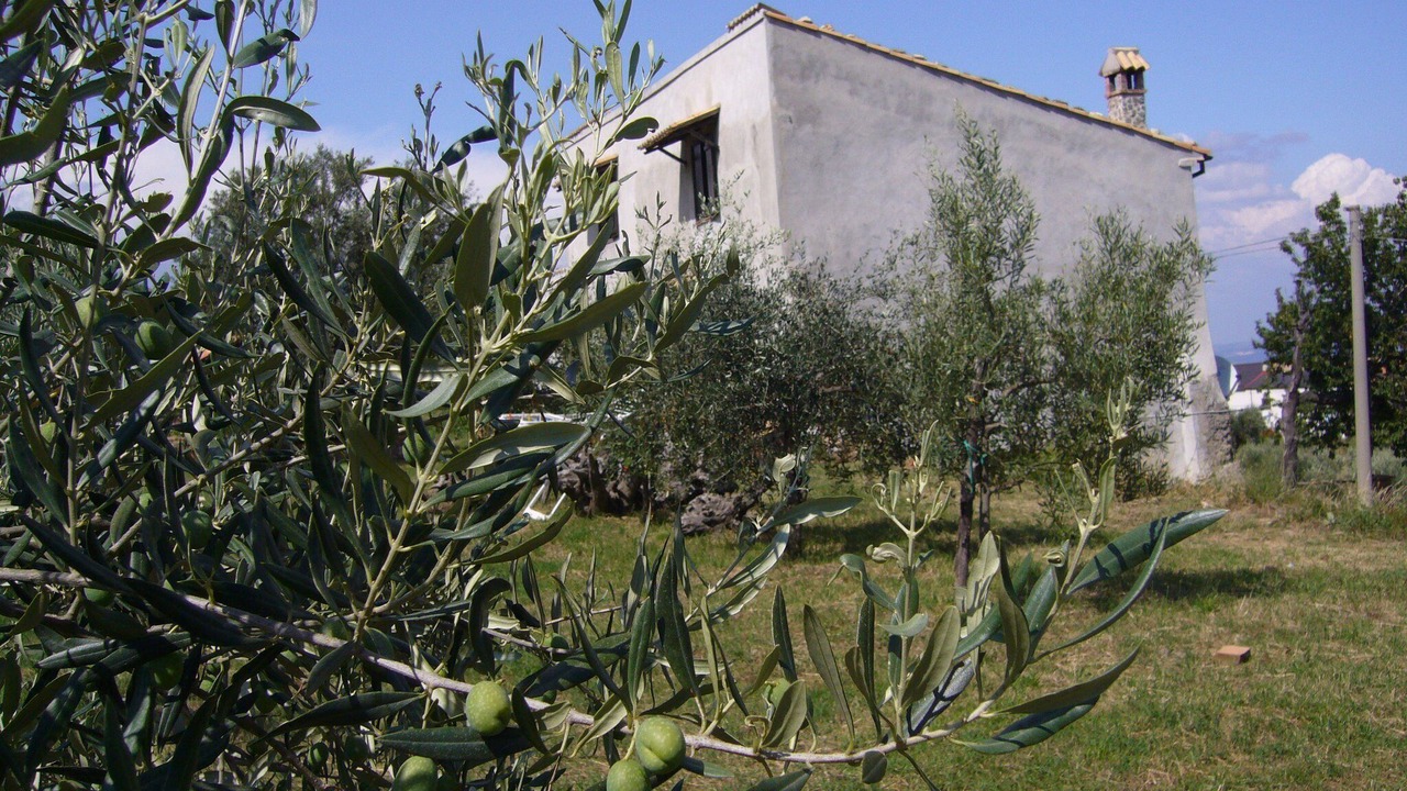 Photo of Outdoor in Montalto Uffugo