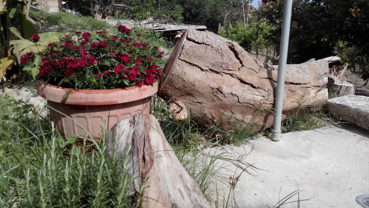 Photo of Outdoor in Lacco Ameno