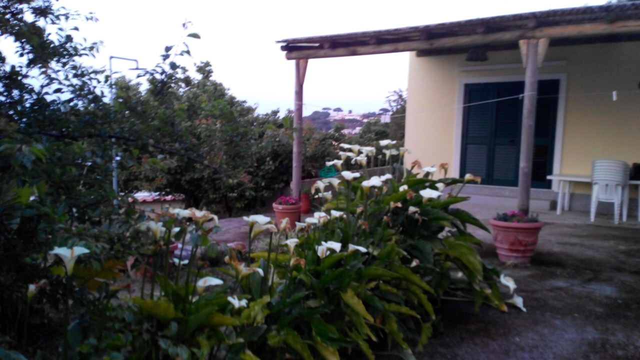 Photo of Outdoor in Lacco Ameno