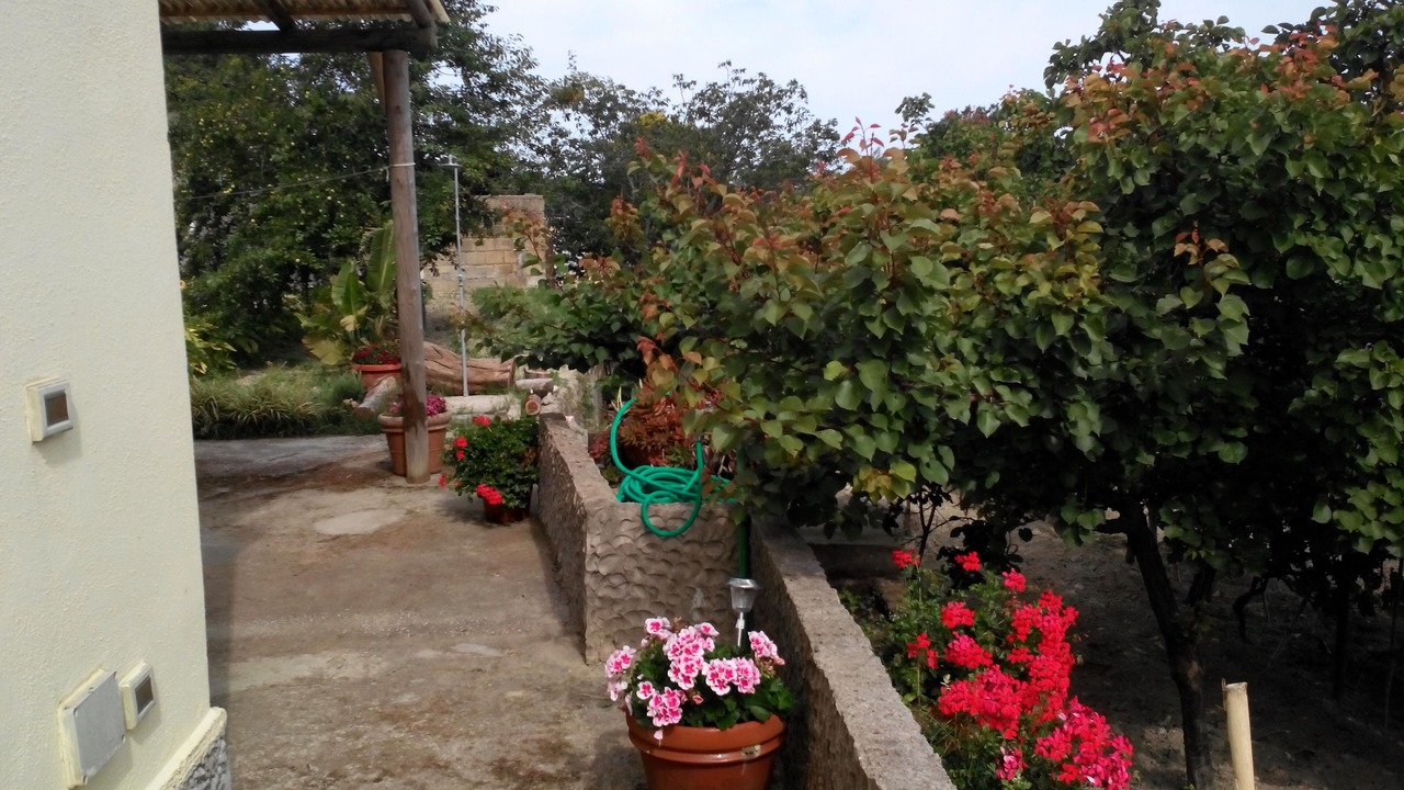 Photo of Outdoor in Lacco Ameno