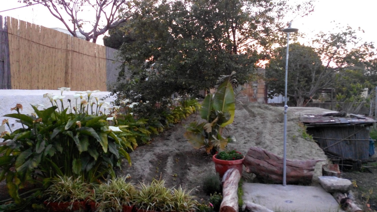Photo of Outdoor in Lacco Ameno