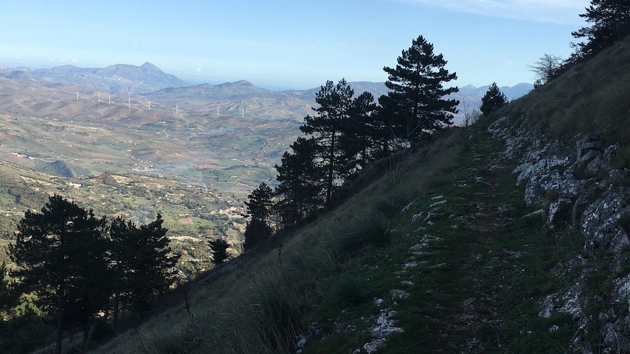 Photo of Others in Cammarata
