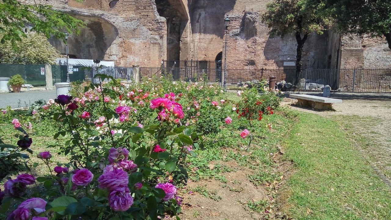 Photo of Outdoor in Rione XVIII Castro Pretorio