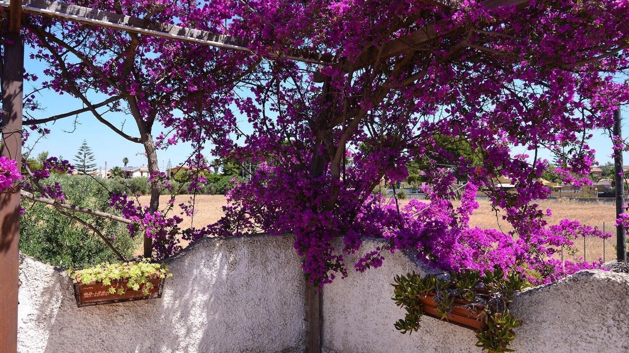 Photo of Outdoor in Punta Milocca