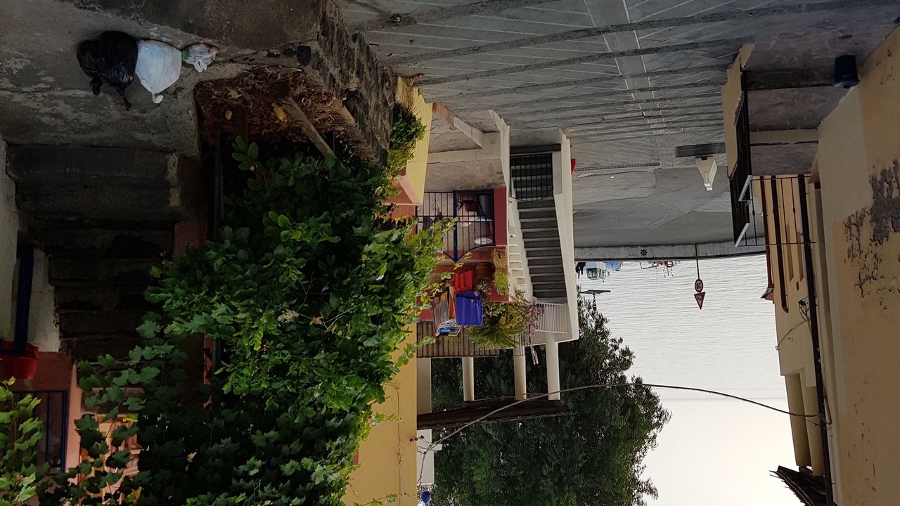 Photo of Outdoor in Leni