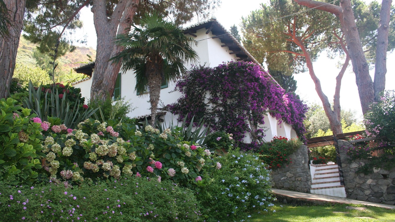 Photo of Outdoor in Tropea