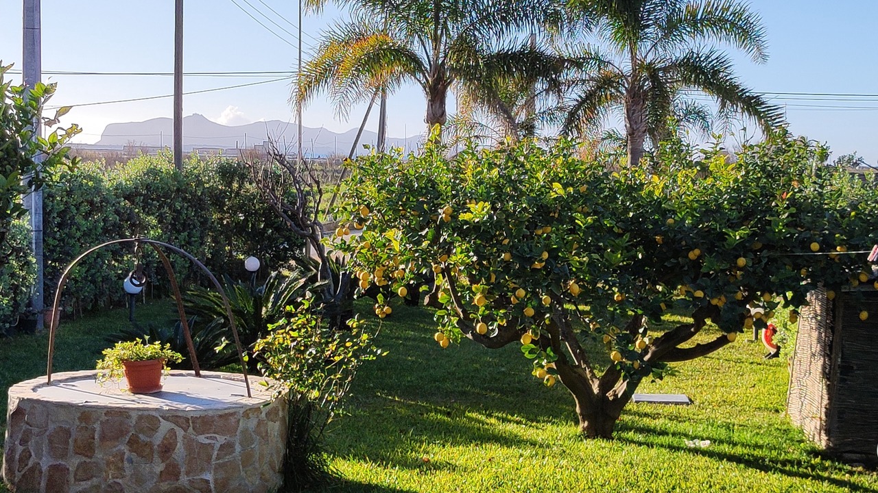Photo of Outdoor in Birgi Vecchi