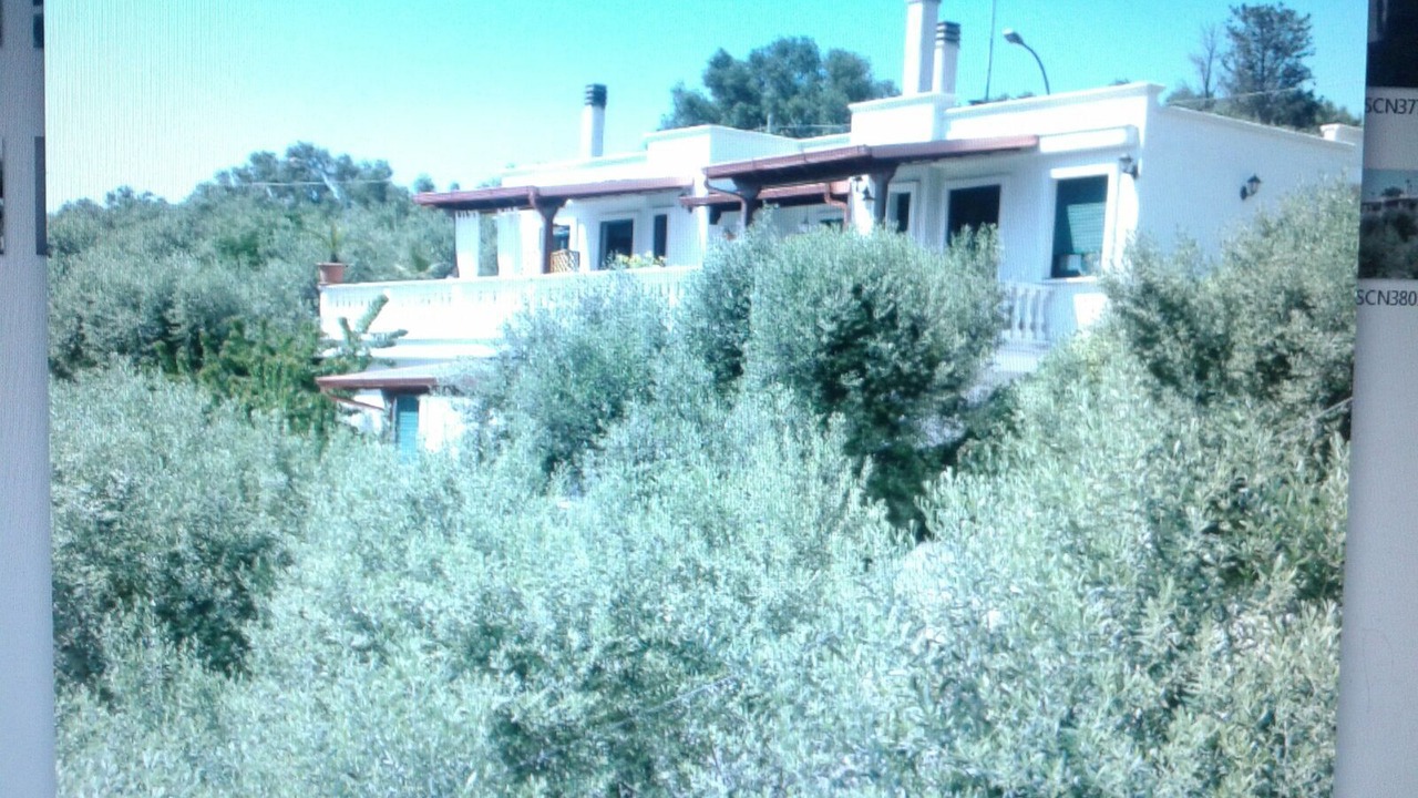 Photo of Outdoor in Marina di Andrano