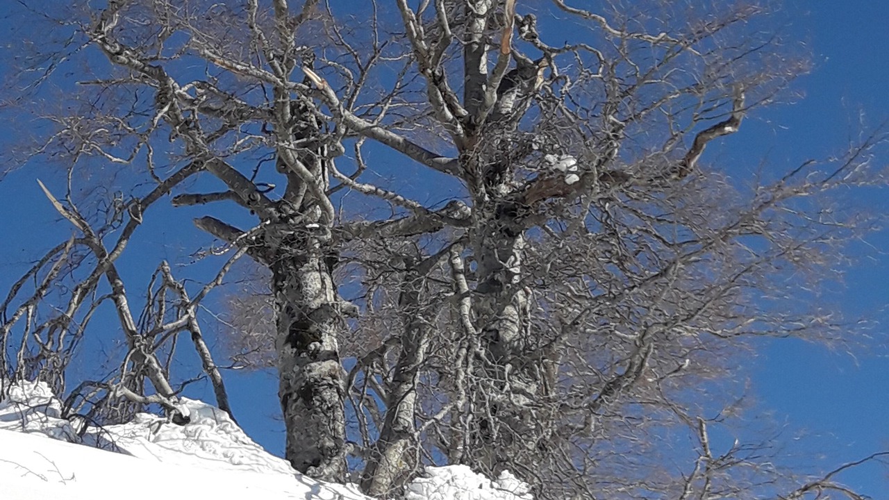 Photo of Others in Pian De' Valli