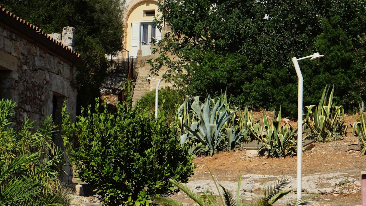Photo of Outdoor in Presicce
