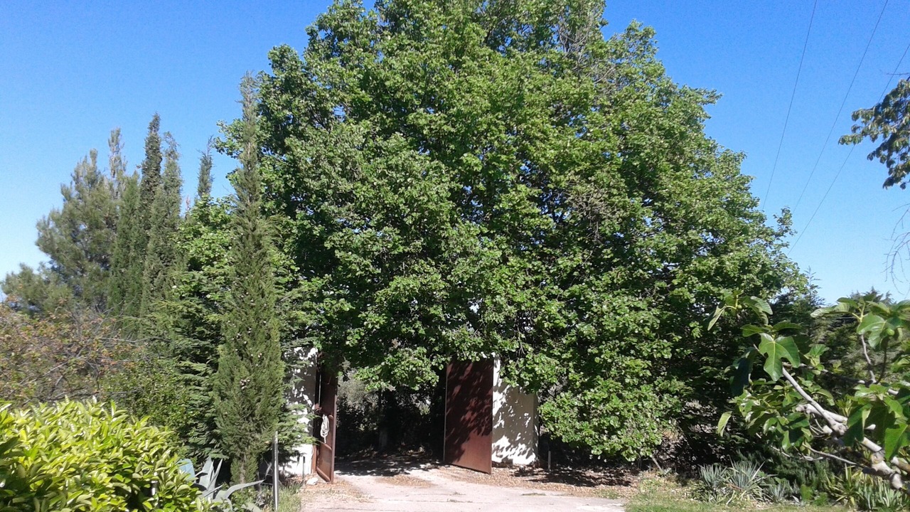 Photo of Outdoor in Cammarata
