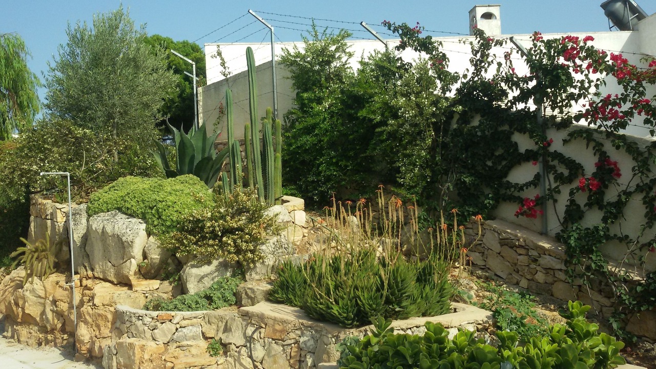 Photo of Outdoor in Torre Vado