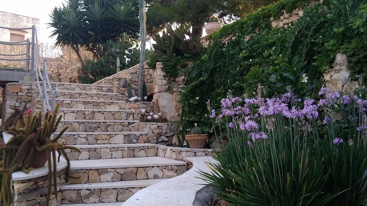 Photo of Outdoor in Torre Vado