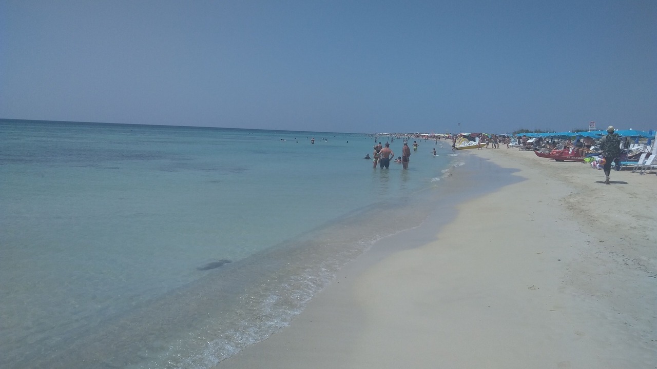 Photo of Others in Torre Vado