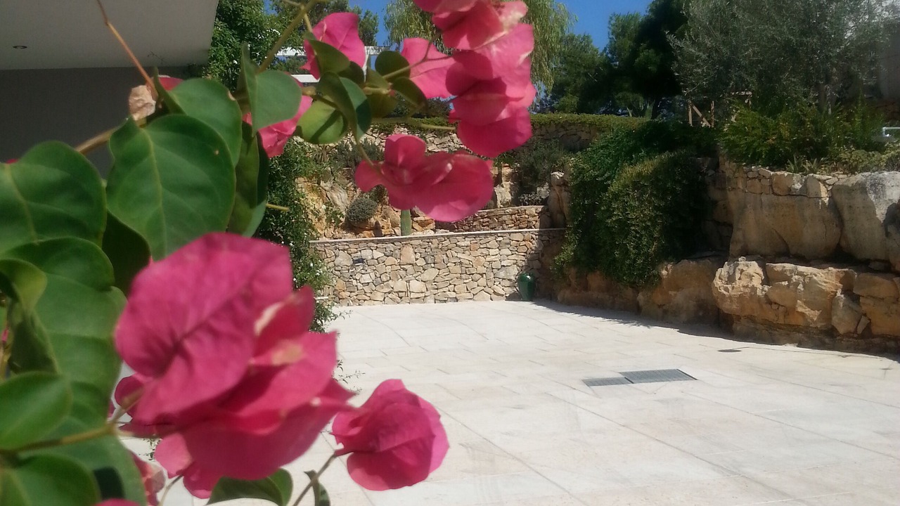 Photo of Outdoor in Torre Vado