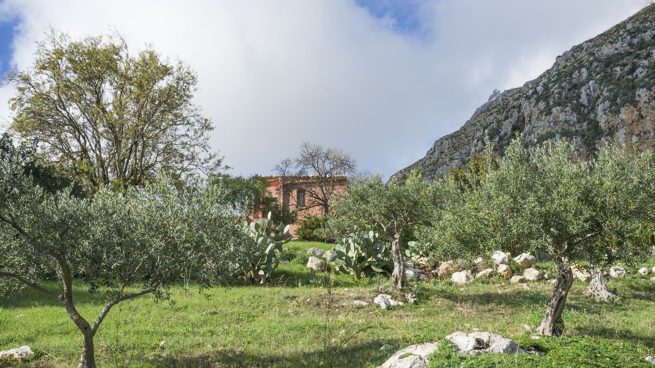 Photo of Outdoor in Mockarta