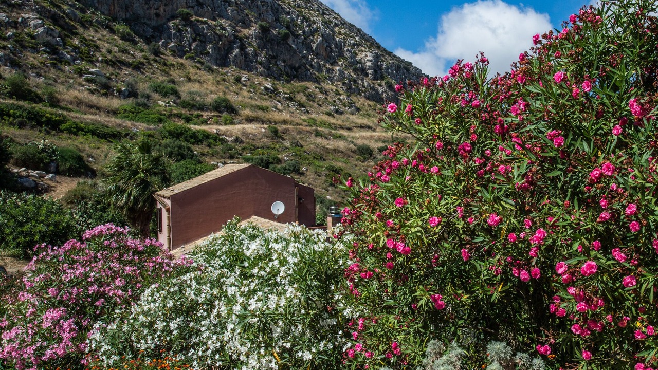 Photo of Outdoor in Mockarta