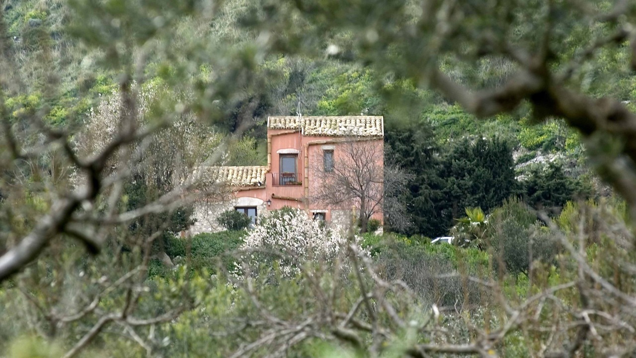 Photo of Outdoor in Mockarta