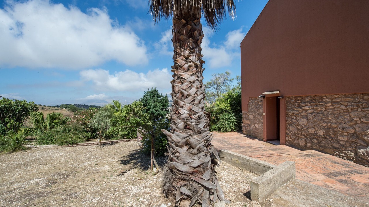 Photo of Outdoor in Mockarta