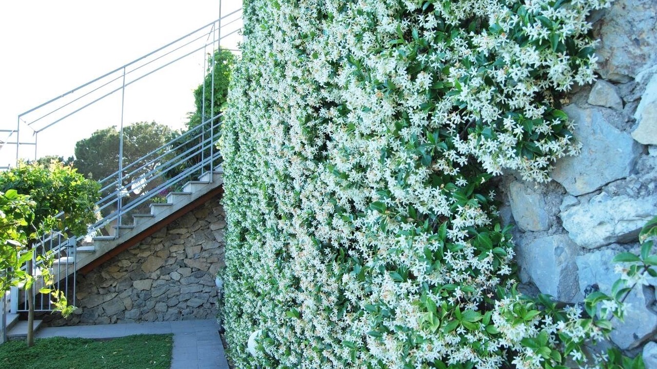 Photo of Outdoor in Conca dei Marini